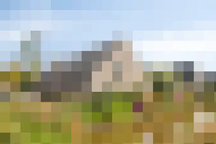 Laan van Zwethof 27 Zoeterwoude thumbnail 46