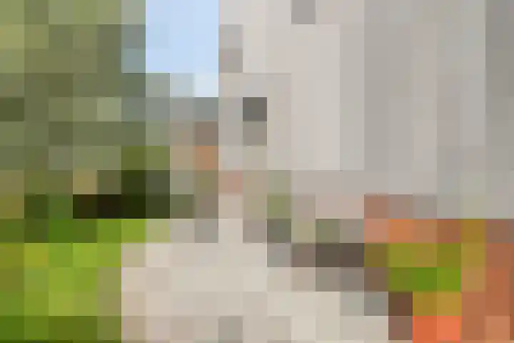 Laan van Zwethof 27 Zoeterwoude thumbnail 5