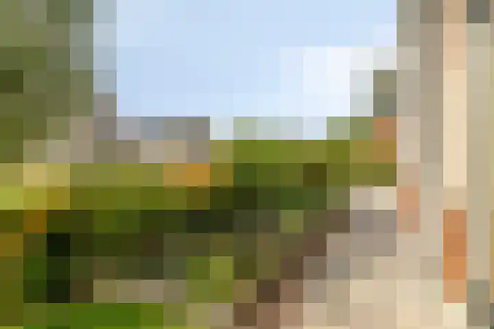 Laan van Zwethof 27 Zoeterwoude thumbnail 6