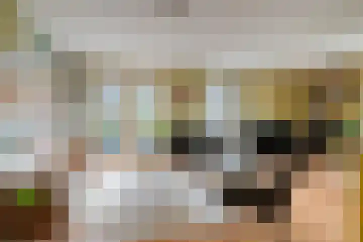 Laan van Zwethof 27 Zoeterwoude thumbnail 8