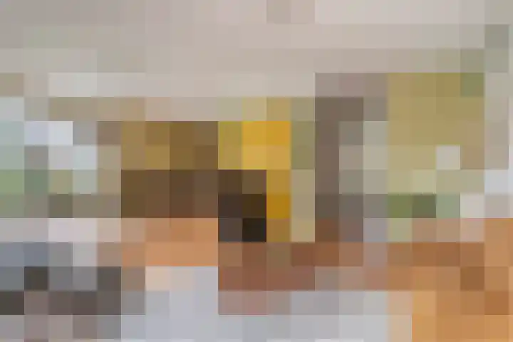 Laan van Zwethof 27 Zoeterwoude thumbnail 9