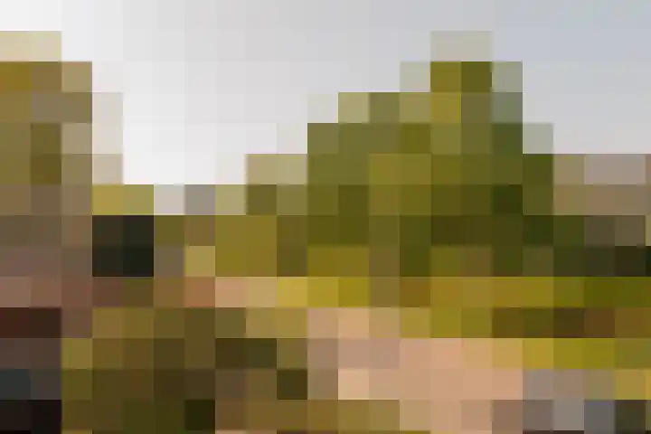 Laan Walcheren 13 Amstelveen thumbnail 16