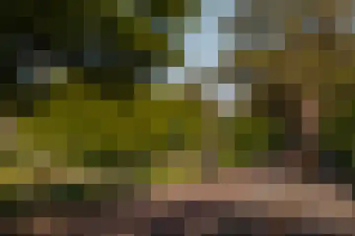Laan Walcheren 13 Amstelveen thumbnail 22