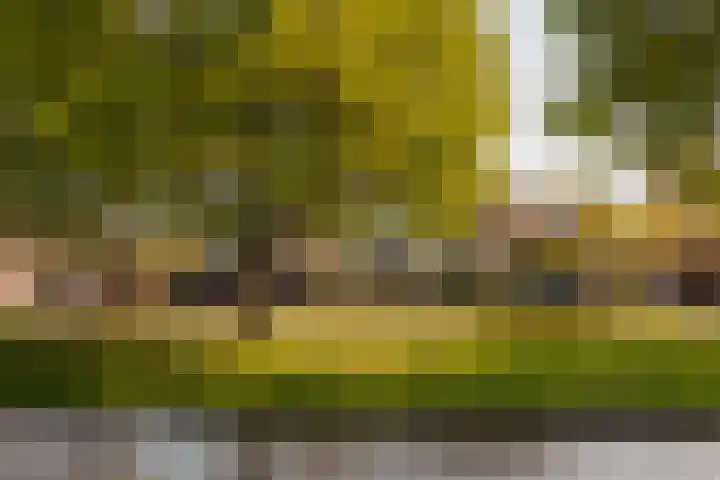 Laan Walcheren 13 Amstelveen thumbnail 23