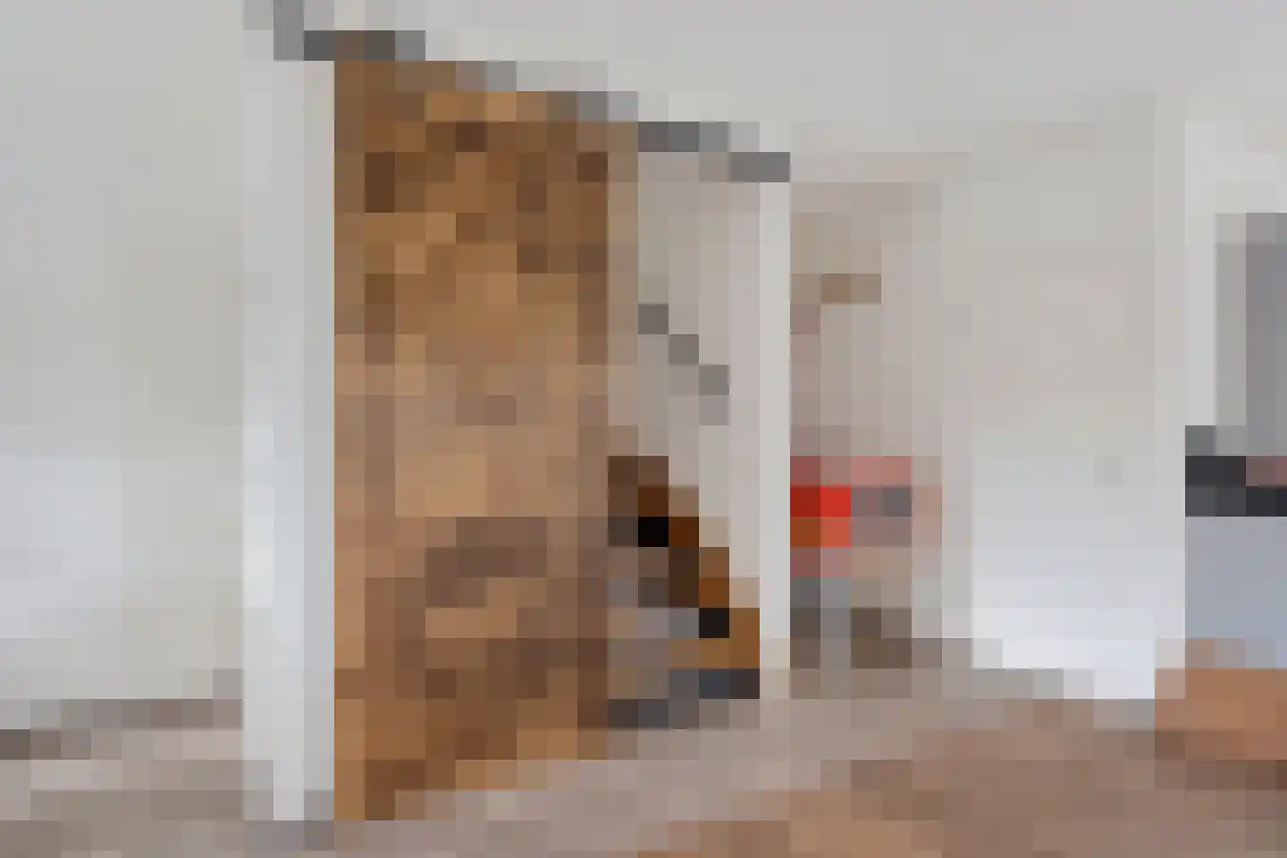 Laanderhof 14 Berghem thumbnail 14