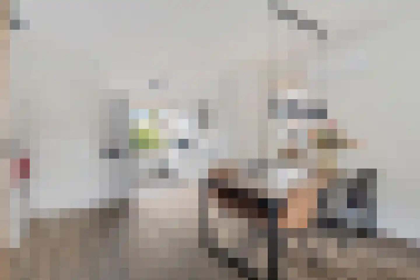Laanderhof 14 Berghem thumbnail 15