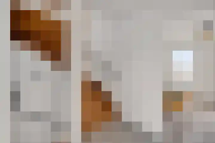 Laanderhof 14 Berghem thumbnail 24