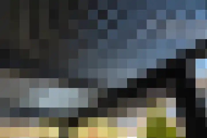 Laanderhof 14 Berghem thumbnail 44
