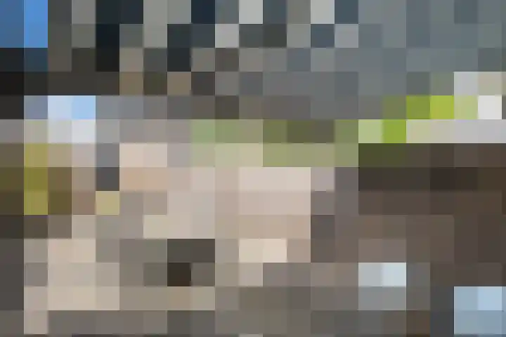 Laanderhof 24 Berghem thumbnail 21
