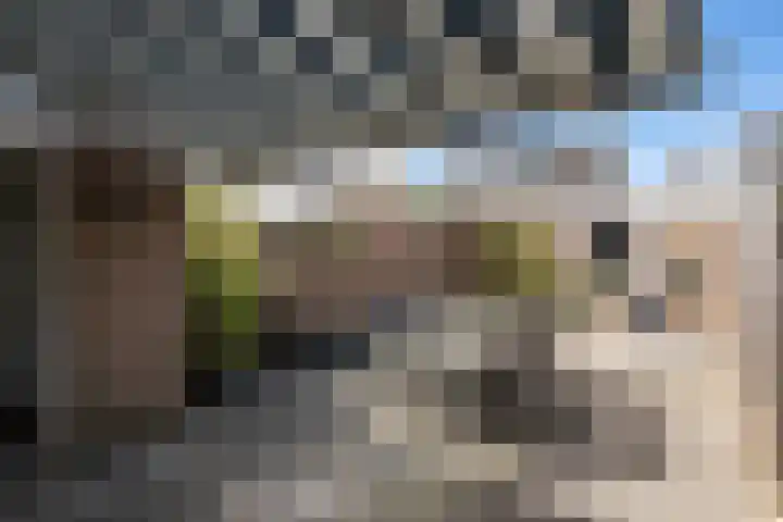 Laanderhof 24 Berghem thumbnail 22