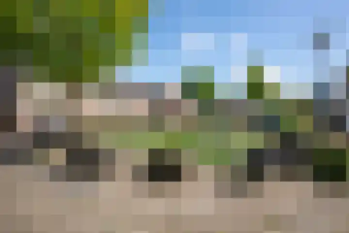 Laanderhof 24 Berghem thumbnail 24