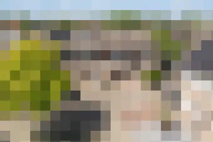 Laanderhof 24 Berghem thumbnail 26