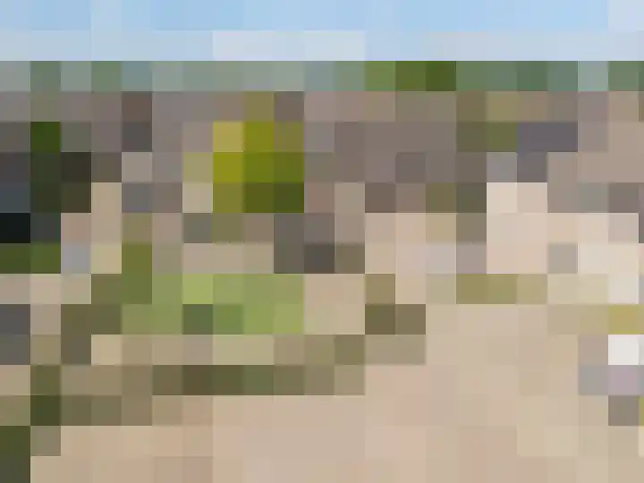 Laanderhof 24 Berghem thumbnail 30