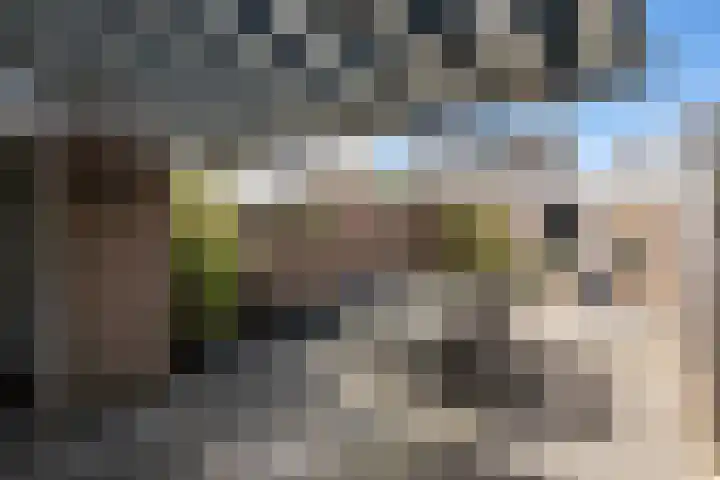 Laanderhof 24 Berghem thumbnail 4