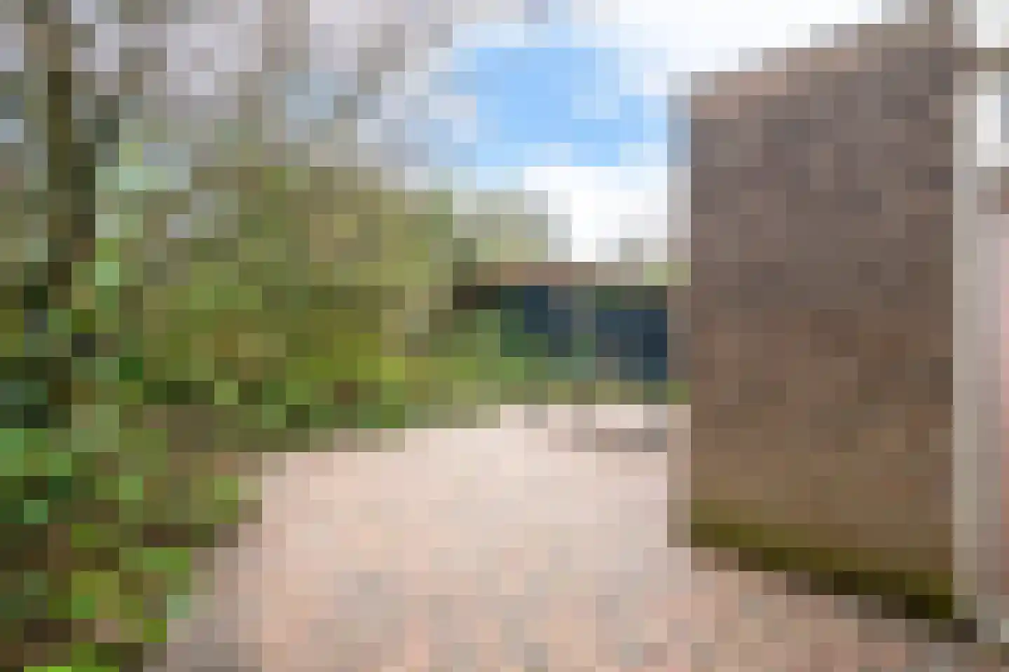 Laanderhof 31 Berghem thumbnail 18