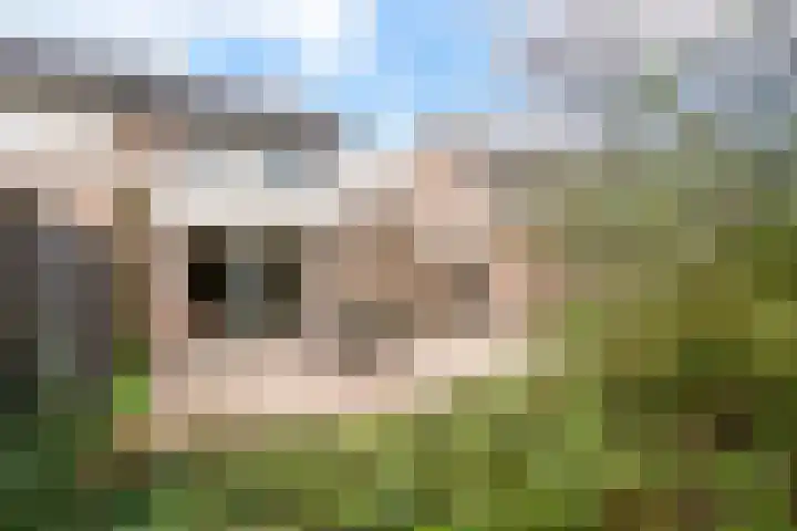 Laanderhof 31 Berghem thumbnail 4