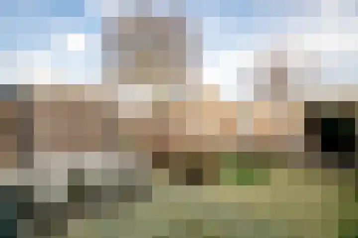 Laanderhof 94 Berghem thumbnail 23