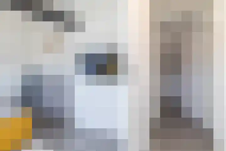 Laanderstraat 121 Heerlen thumbnail 25
