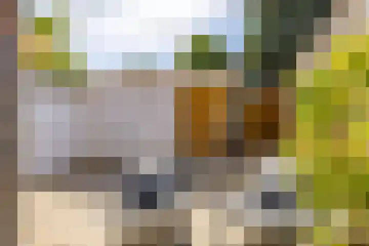 Laanderstraat 121 Heerlen thumbnail 28