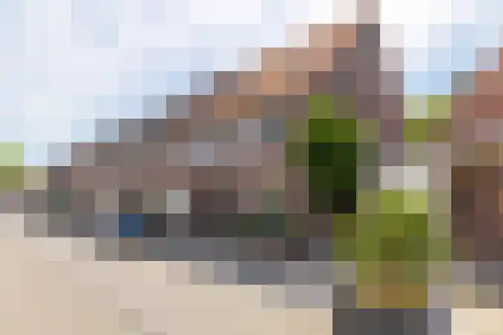 Laanderstraat 121 Heerlen thumbnail 33