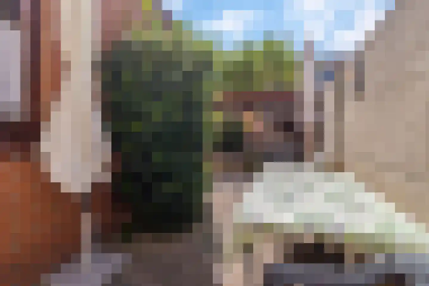 Laanderstraat 91 Heerlen thumbnail 21