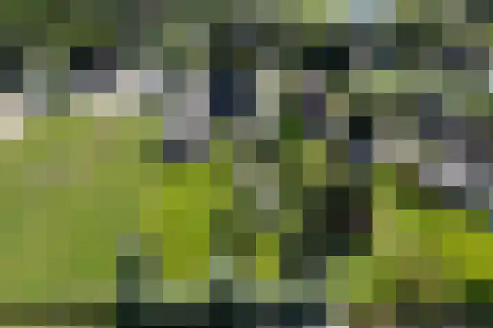 Laanderweg 4 A Heerhugowaard thumbnail 32