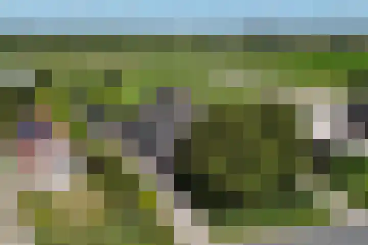 Laanderweg 4 A Heerhugowaard thumbnail 33