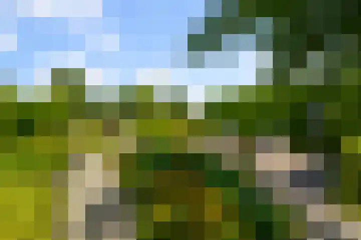 Laanderweg 4 A Heerhugowaard thumbnail 34