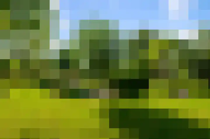 Laanderweg 4 A Heerhugowaard thumbnail 37