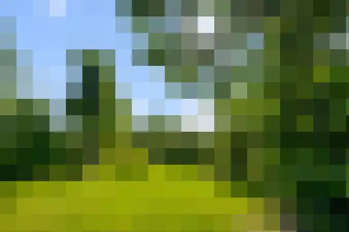 Laanderweg 4 A Heerhugowaard thumbnail 38