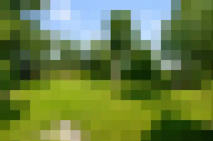Laanderweg 4 A Heerhugowaard thumbnail 39