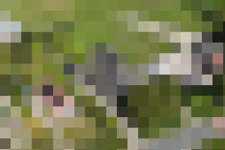 Laanderweg 4 A Heerhugowaard thumbnail 40