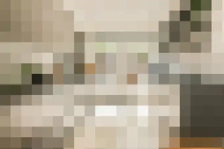 Laanhorn 13 Amstelveen thumbnail 11