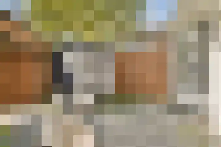 Laanhorn 13 Amstelveen thumbnail 12