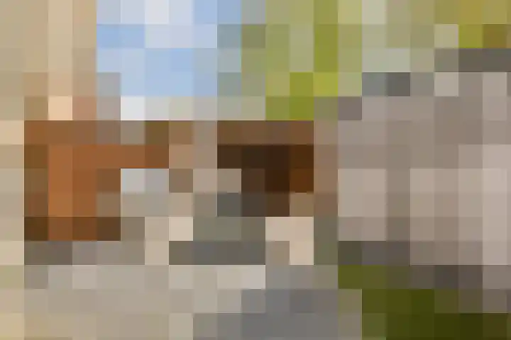 Laanhorn 13 Amstelveen thumbnail 13