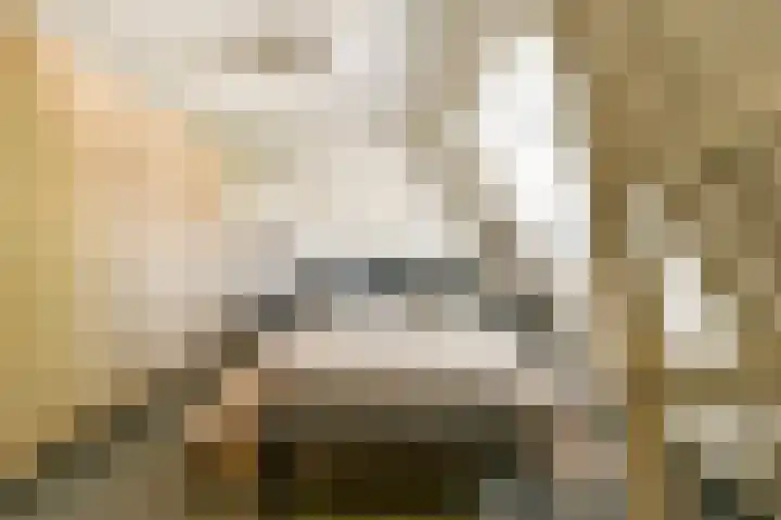 Laanhorn 13 Amstelveen thumbnail 15