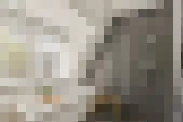 Laanhorn 13 Amstelveen thumbnail 18