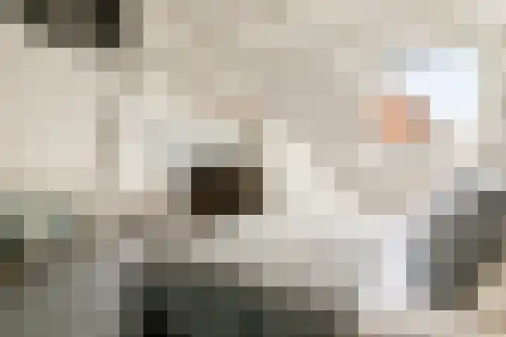 Laanhorn 13 Amstelveen thumbnail 25