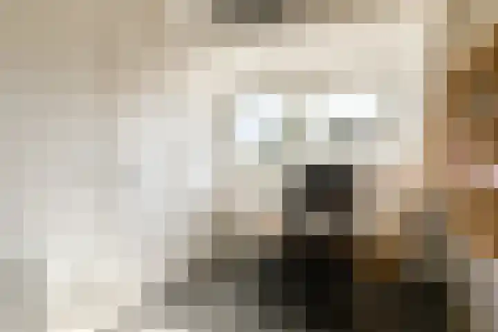 Laanhorn 13 Amstelveen thumbnail 28