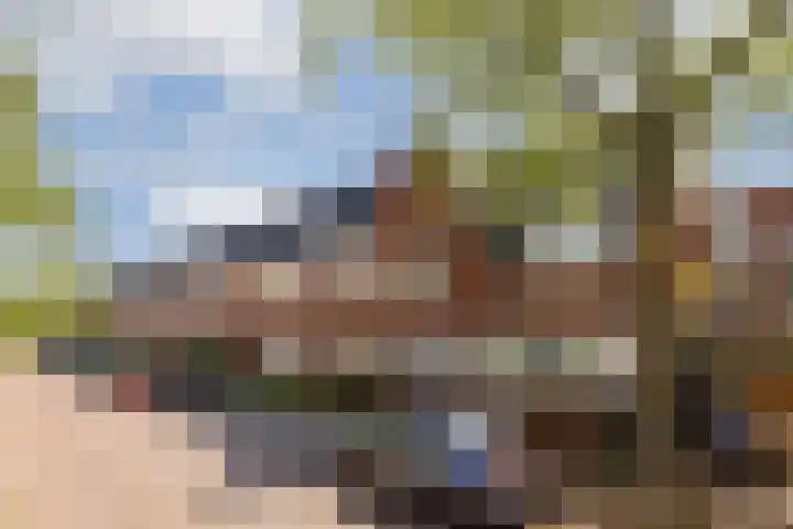 Laanhorn 13 Amstelveen thumbnail 30