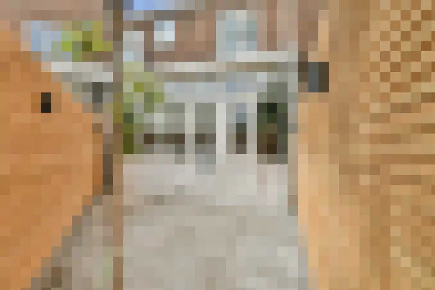 Laanhorn 2 Amstelveen thumbnail 10