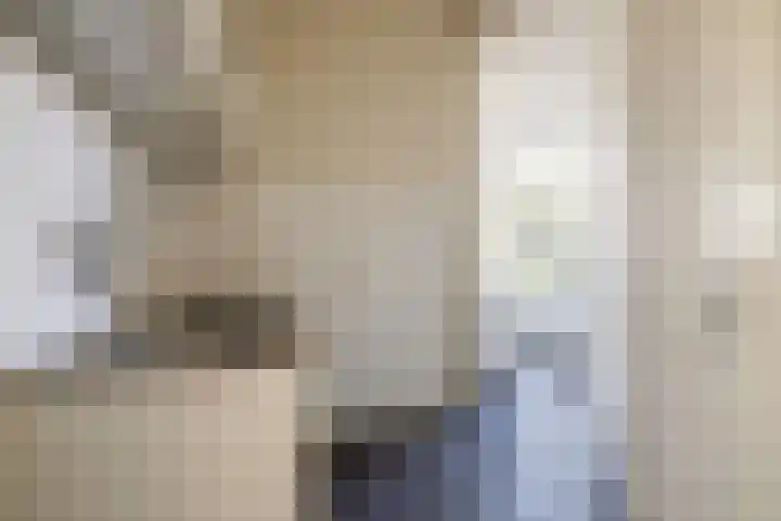 Laanhorn 2 Amstelveen thumbnail 13