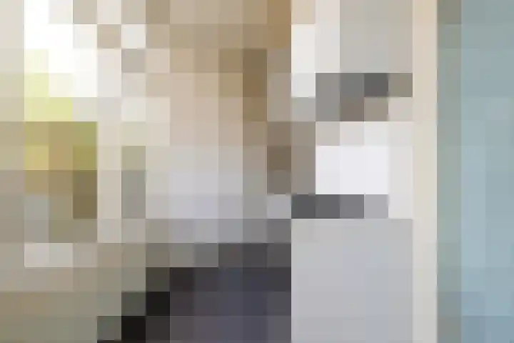Laanhorn 2 Amstelveen thumbnail 15