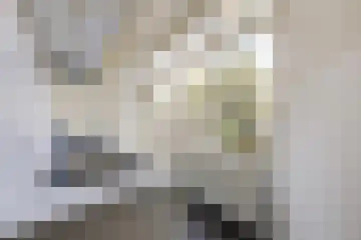 Laanhorn 2 Amstelveen thumbnail 16