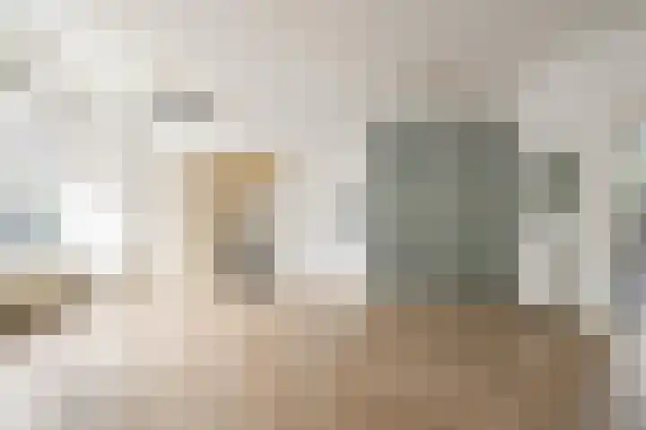 Laanhorn 2 Amstelveen thumbnail 18