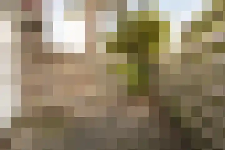 Laanhorn 2 Amstelveen thumbnail 21