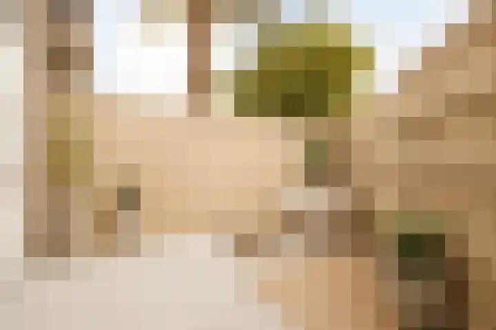 Laanhorn 2 Amstelveen thumbnail 22