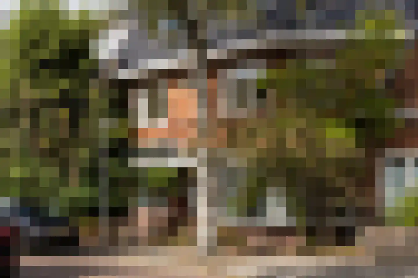 Laanhorn 2 Amstelveen thumbnail 25