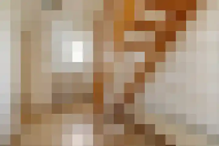 Laanhorn 2 Amstelveen thumbnail 26