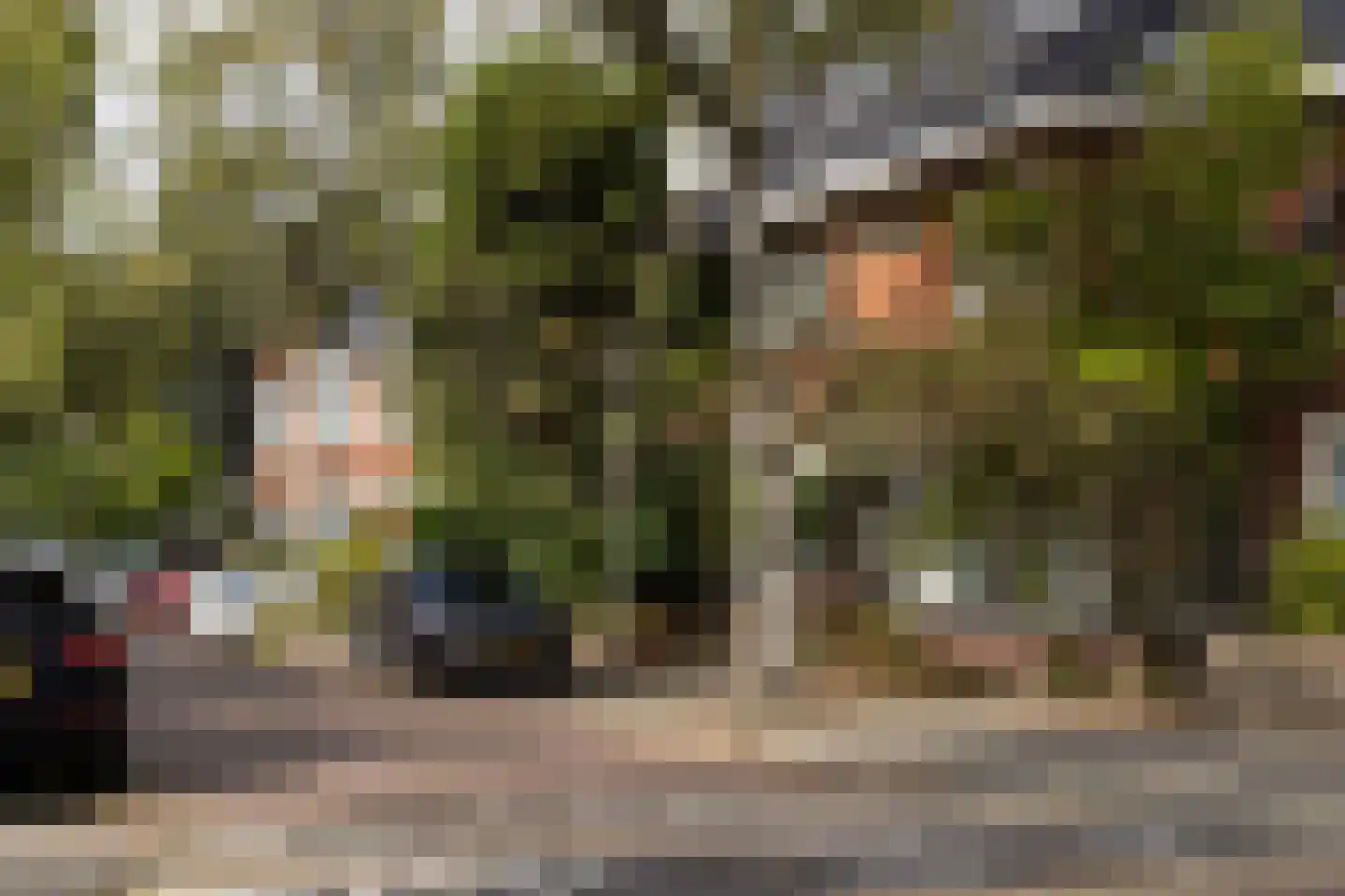 Laanhorn 2 Amstelveen thumbnail 27
